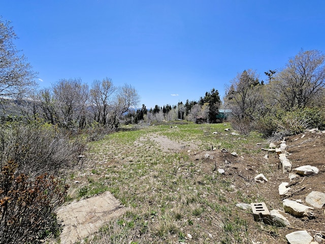 58 Thads Peak Dr Unit J58, Fairview, UT 84629