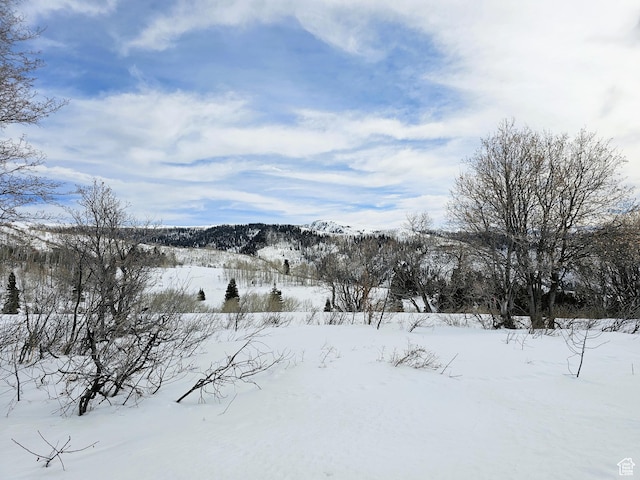 58 Thads Peak Dr Unit J58, Fairview, UT 84629
