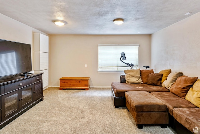 693 N Devonshire Dr, Saratoga Springs, UT 84045 - carpeted living room with a textured ceiling