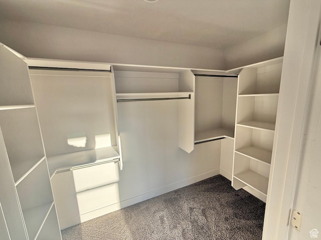 spacious closet featuring dark colored carpet