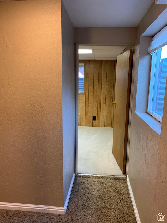 685 W 2550 S, Price, UT 84501 - corridor with carpet floors and a wealth of natural light