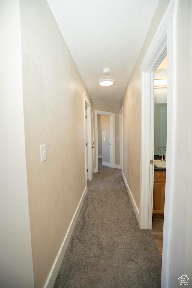 hallway featuring carpet flooring and sink