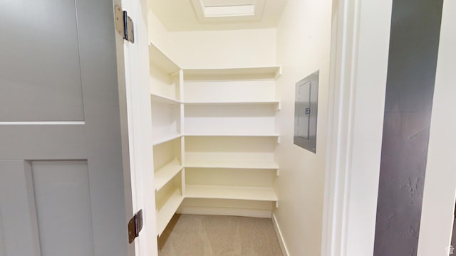 pantry with electric panel