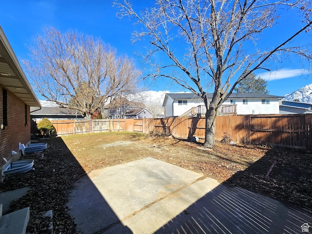 view of yard featuring a fenced backyard and a patio area