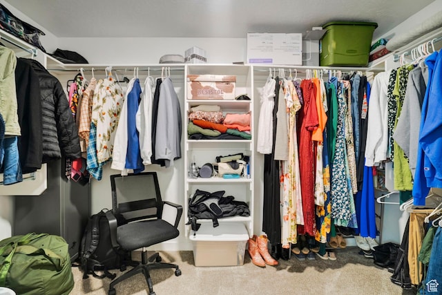 3529 W 4150 S, West Haven, UT 84401 - view of walk in closet