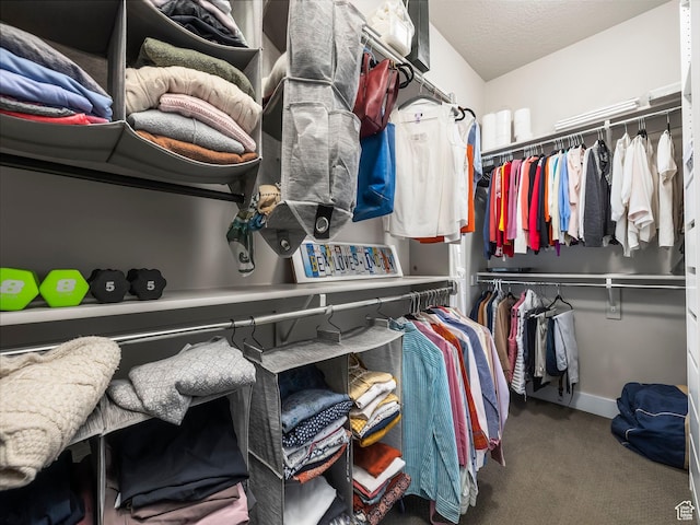 2654 E Water Wheel Ct, Heber City, UT 84032 - walk in closet featuring carpet floors