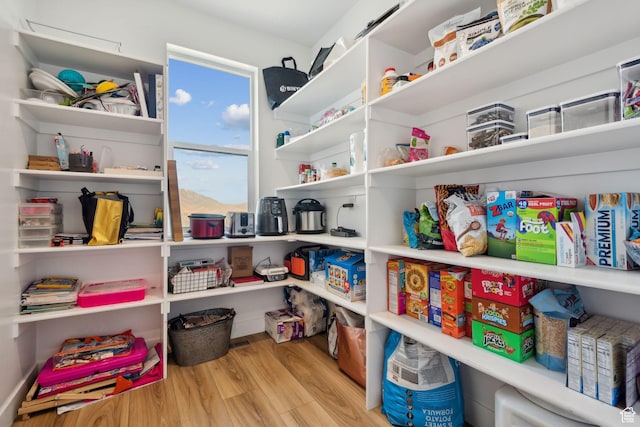 view of pantry
