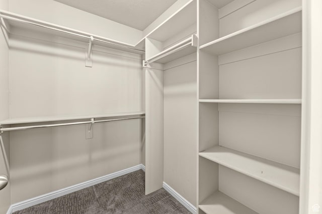 626 S 2310 W, Pleasant Grove, UT 84062 - walk in closet with dark carpet