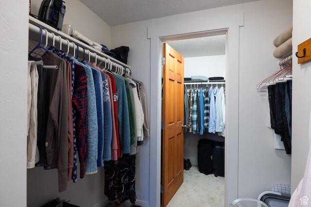 walk in closet with light colored carpet