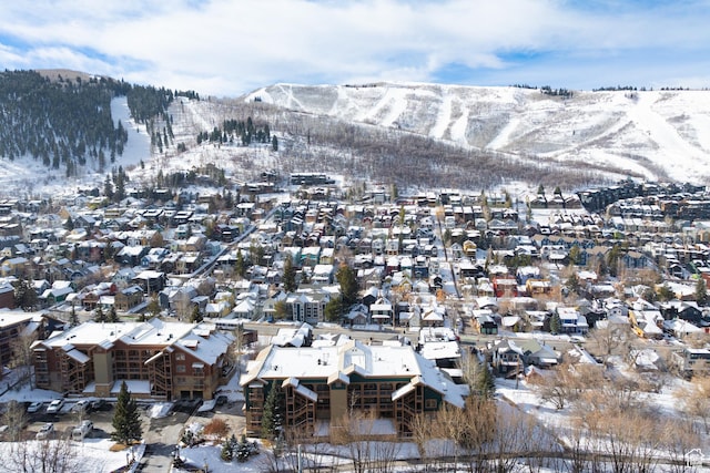 mountain view