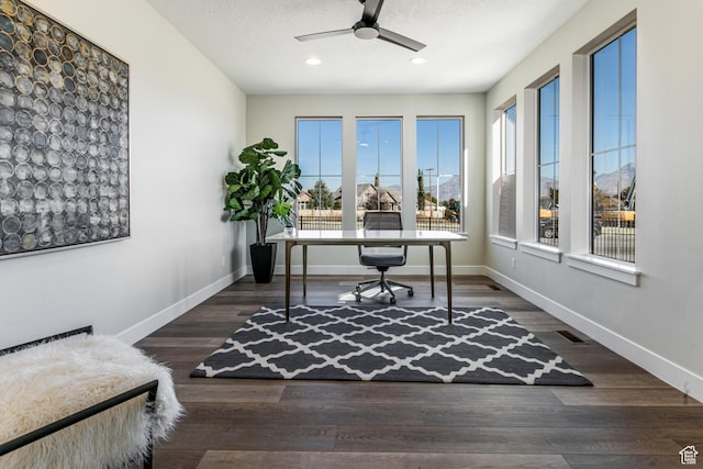 11202 S 1000 E Unit 3, Sandy, UT 84094 - office space featuring ceiling fan, a healthy amount of sunlight, a textured ceiling, and dark hardwood / wood-style flooring