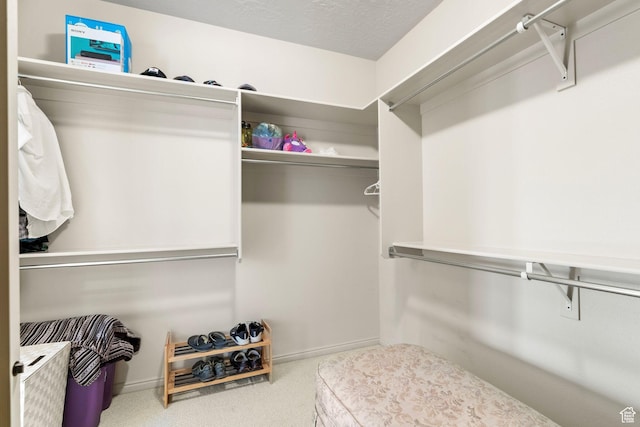 spacious closet featuring carpet floors