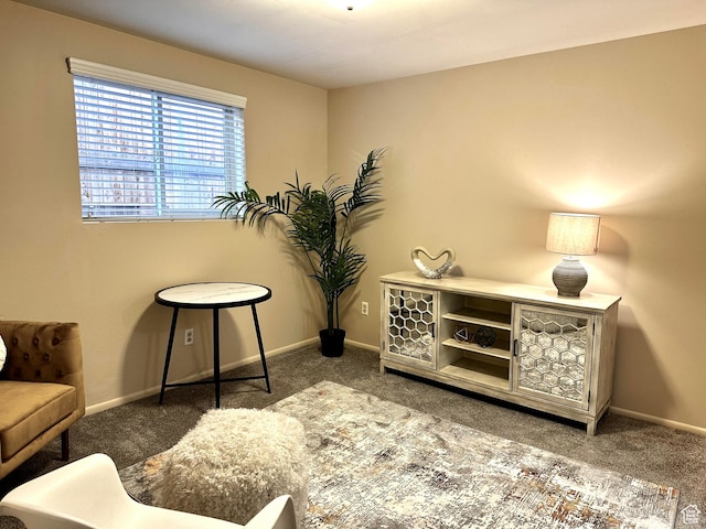 sitting room featuring baseboards and dark carpet