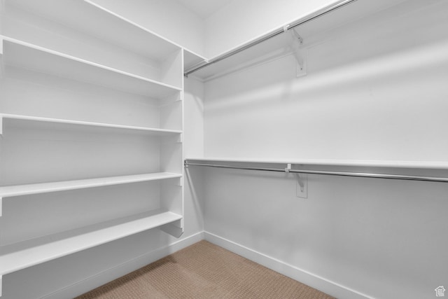 11878 S Golden Pine Ln, Riverton, UT 84065 - spacious closet featuring light colored carpet