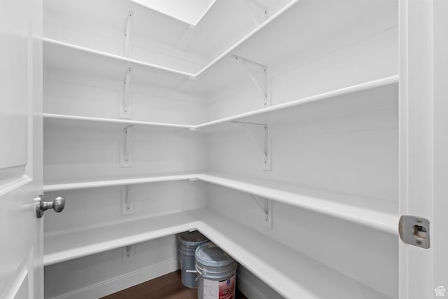 11878 S Golden Pine Ln, Riverton, UT 84065 - view of pantry