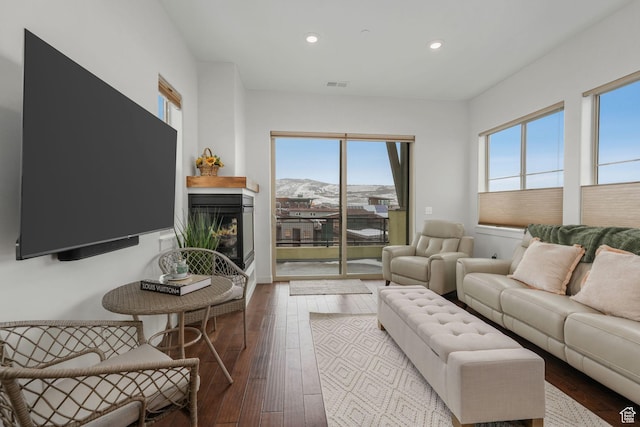living room with hardwood / wood-style flooring and a mountain view