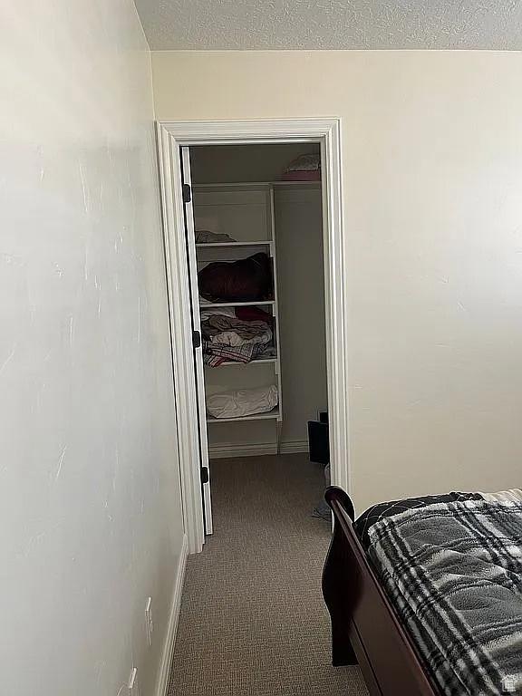 bedroom with a closet, a textured ceiling, light carpet, and a walk in closet