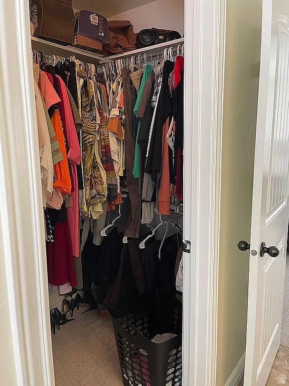 walk in closet with carpet flooring