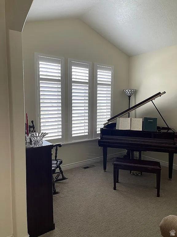 miscellaneous room featuring carpet flooring, vaulted ceiling, and a textured ceiling