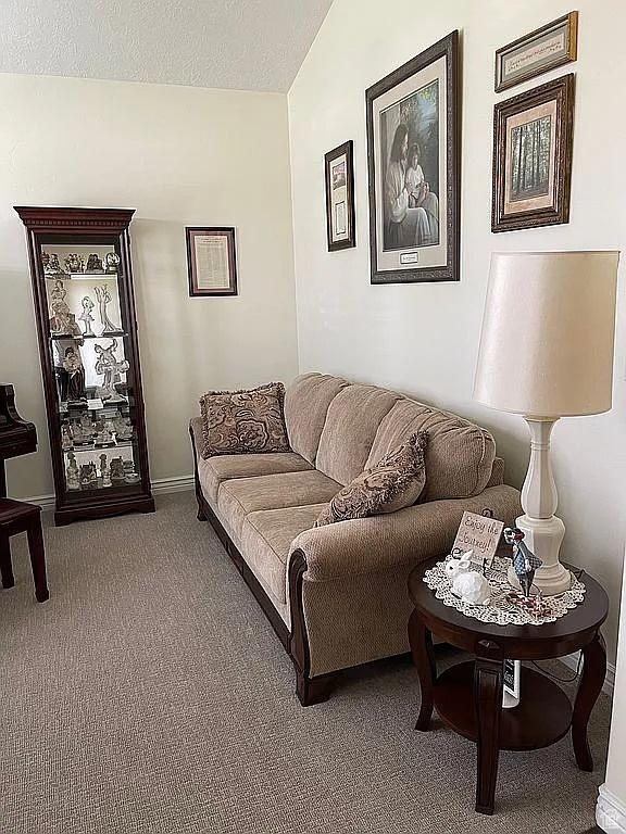 carpeted living room with vaulted ceiling and a textured ceiling