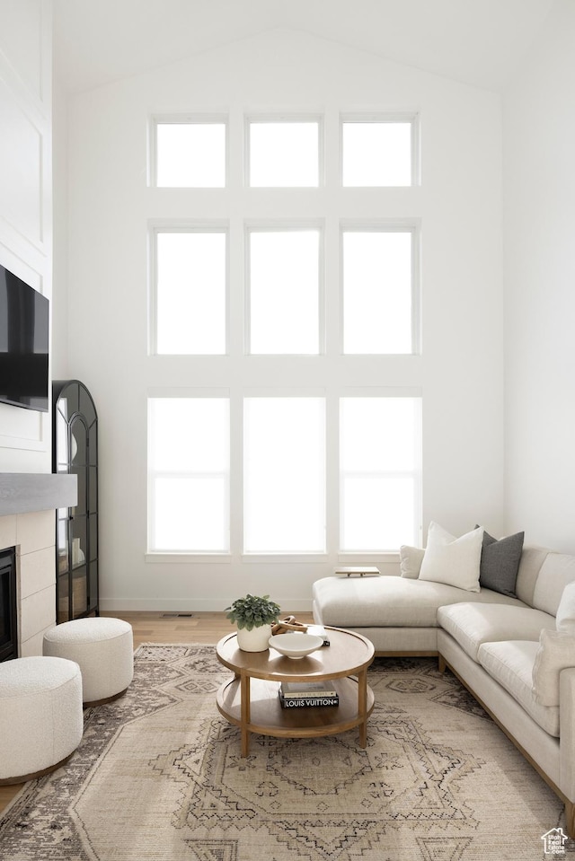 living room featuring wood finished floors and a healthy amount of sunlight