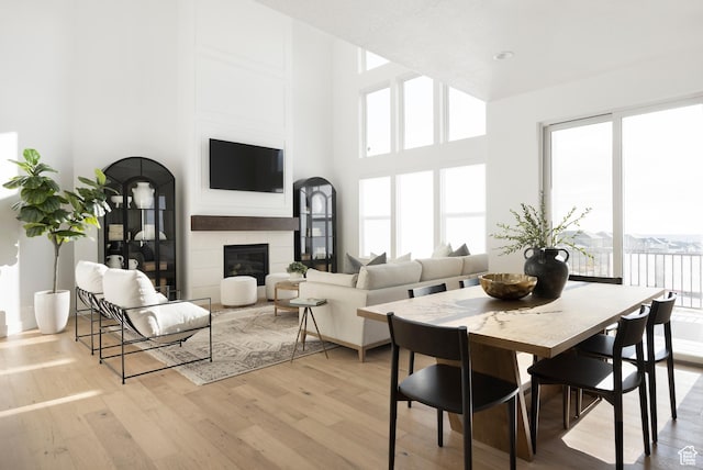 living area with light wood finished floors and a tiled fireplace