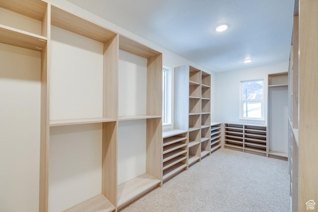 1292 S 1220 E, Salem, UT 84653 - spacious closet with carpet floors