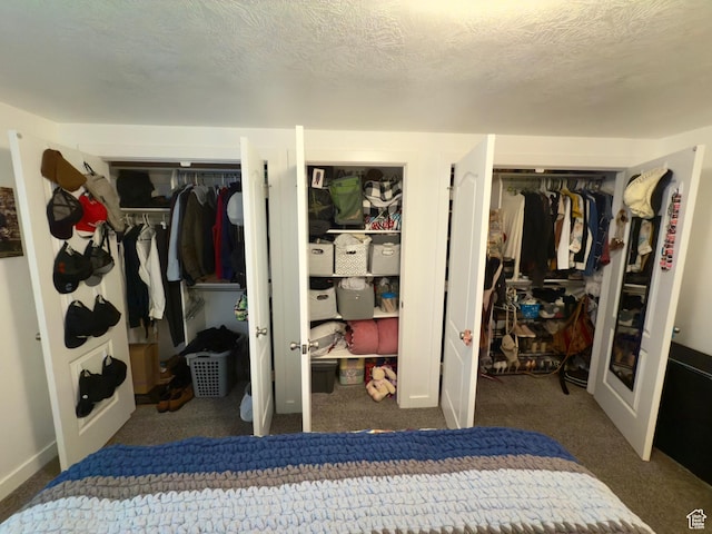 1855 N 860 W, Orem, UT 84057 - bedroom featuring multiple closets and carpet flooring