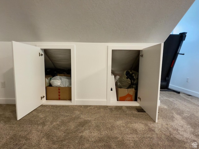1855 N 860 W, Orem, UT 84057 - detailed view of carpet flooring