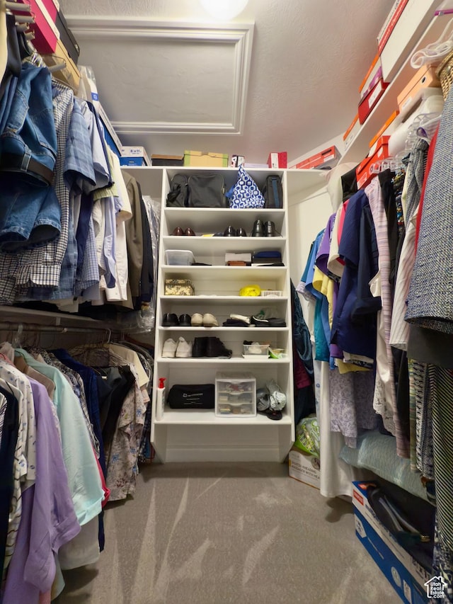 1855 N 860 W, Orem, UT 84057 - spacious closet featuring carpet flooring