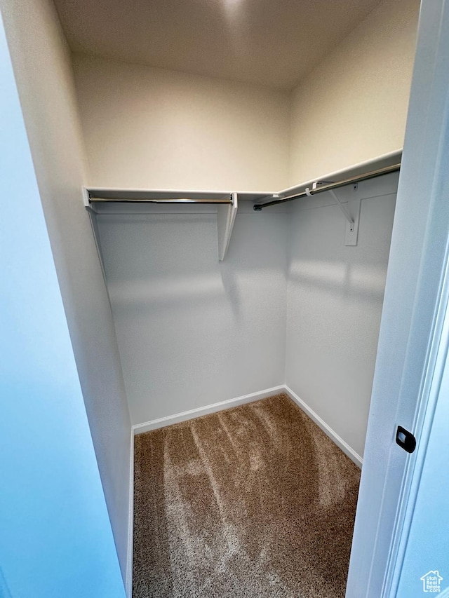 spacious closet with carpet floors