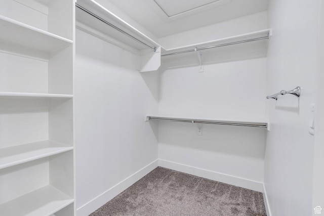 1455 N 3600 W, Lehi, UT 84043 - walk in closet with carpet flooring