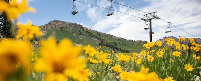 286 W Eagles Roost St Unit A108, Brian Head, UT 84719 - mountain view