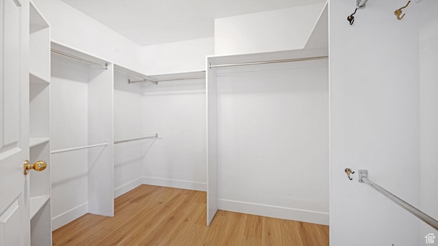 walk in closet with light wood-type flooring