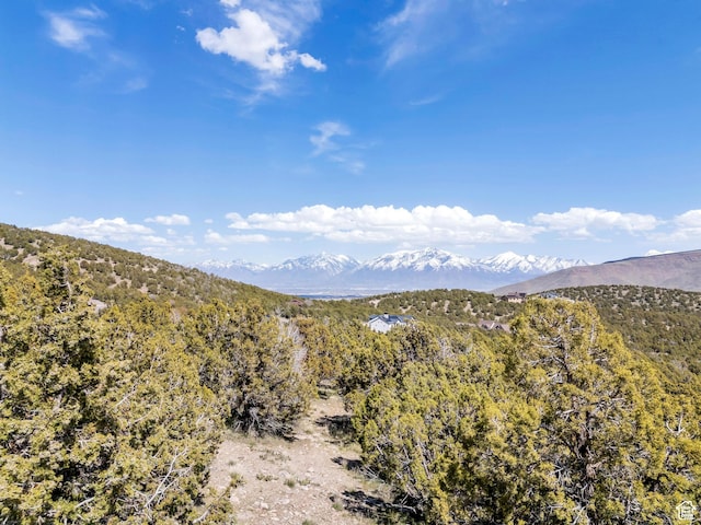 14544 Shaggy Mountain Rd Unit 2, Herriman, UT 84096