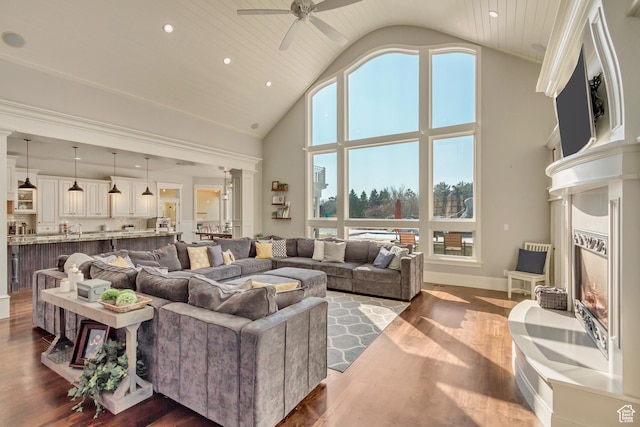 living room featuring dark hardwood / wood-style flooring, high vaulted ceiling, and a healthy amount of sunlight