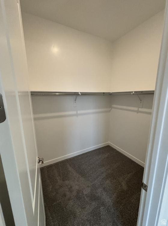 284 E Polaris Dr Unit 112, Saratoga Springs, UT 84045 - walk in closet with carpet flooring