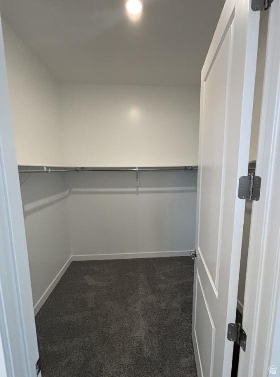 284 E Polaris Dr Unit 112, Saratoga Springs, UT 84045 - spacious closet featuring dark carpet