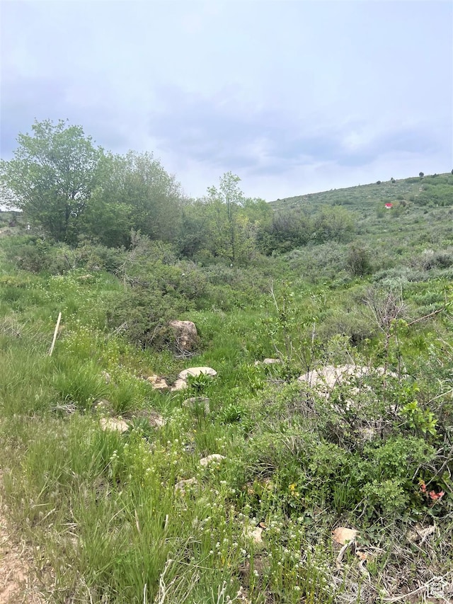 1187 W Cedar Dr, Garden City, UT 84028