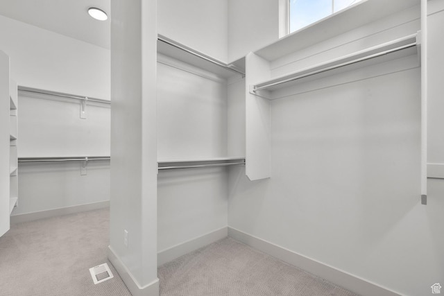 spacious closet featuring light carpet