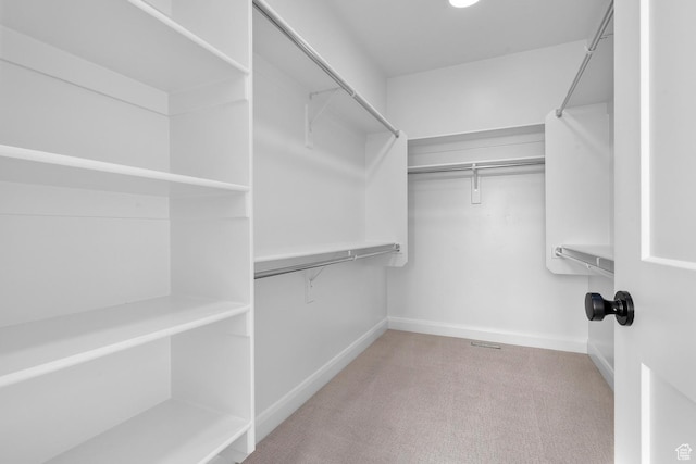 1137 W 2275 S, Syracuse, UT 84075 - spacious closet with light carpet