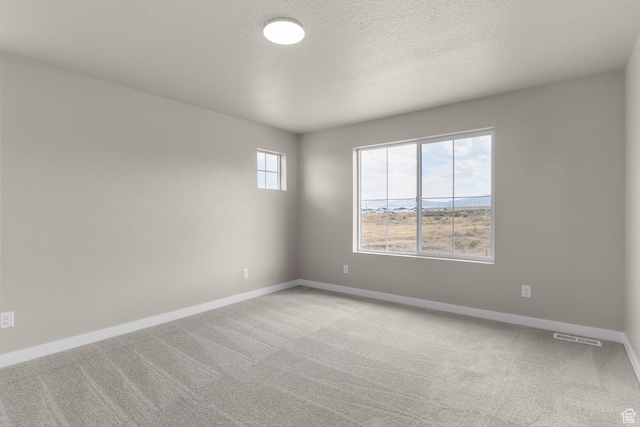 541 W Coyote Ridge Rd, Grantsville, UT 84029 - carpeted spare room with a textured ceiling