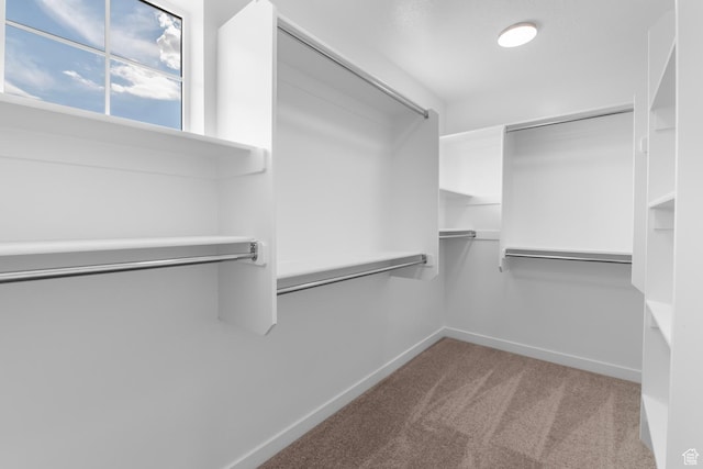 541 W Coyote Ridge Rd, Grantsville, UT 84029 - spacious closet with light carpet