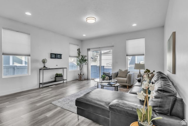 living room featuring hardwood / wood-style floors