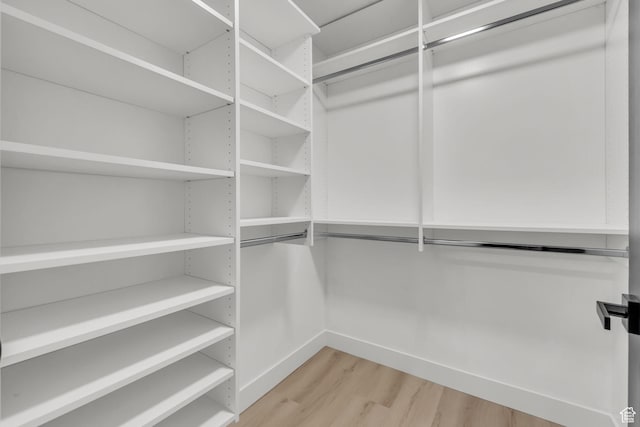spacious closet featuring light wood-style floors