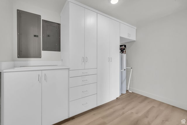 closet featuring electric panel