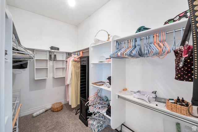 1839 E River Bottom Rd, Springville, UT 84663 - walk in closet with carpet