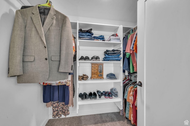 1932 W 200 N, Kaysville, UT 84037 - spacious closet with carpet floors