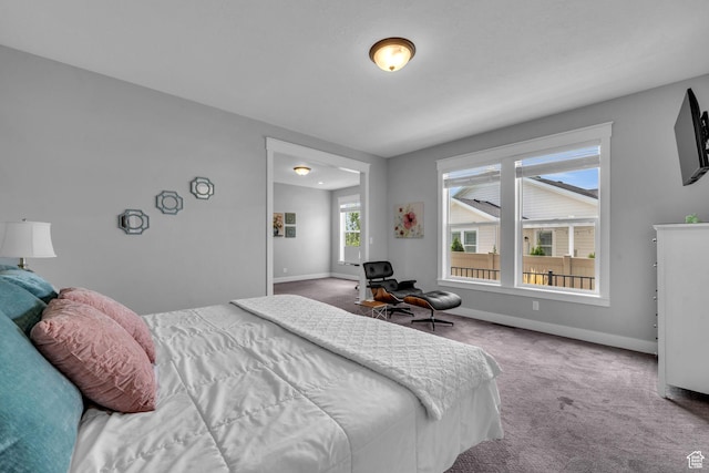 1932 W 200 N, Kaysville, UT 84037 - bedroom featuring carpet