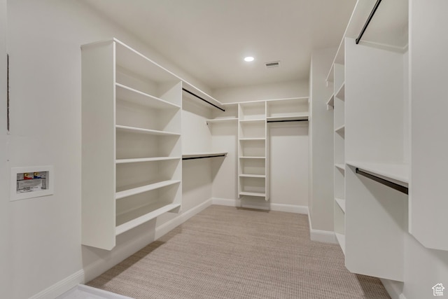 909 W 1180 N, Pleasant Grove, UT 84062 - walk in closet featuring light carpet
